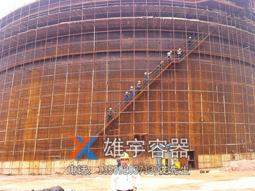 公司领导考察大型储罐